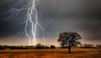 বৃষ্টির সাথে বজ্রপাত, মান্দায় যুবকের মর্...